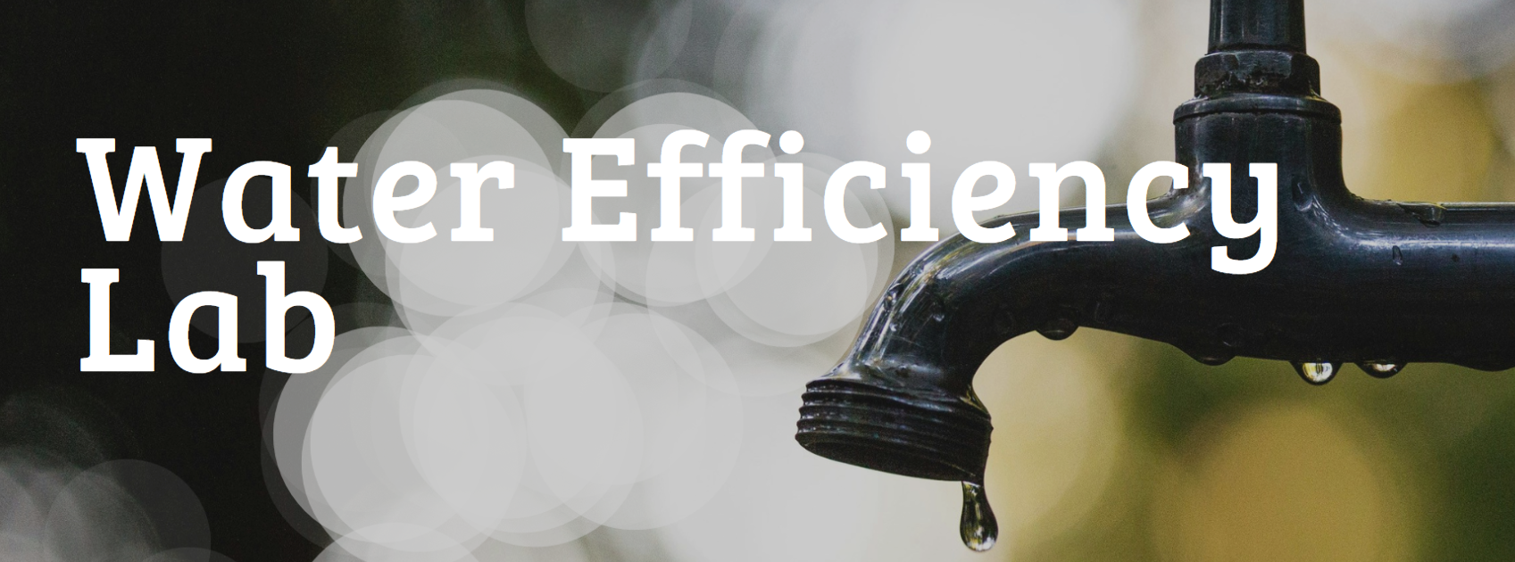 Water Efficiency
