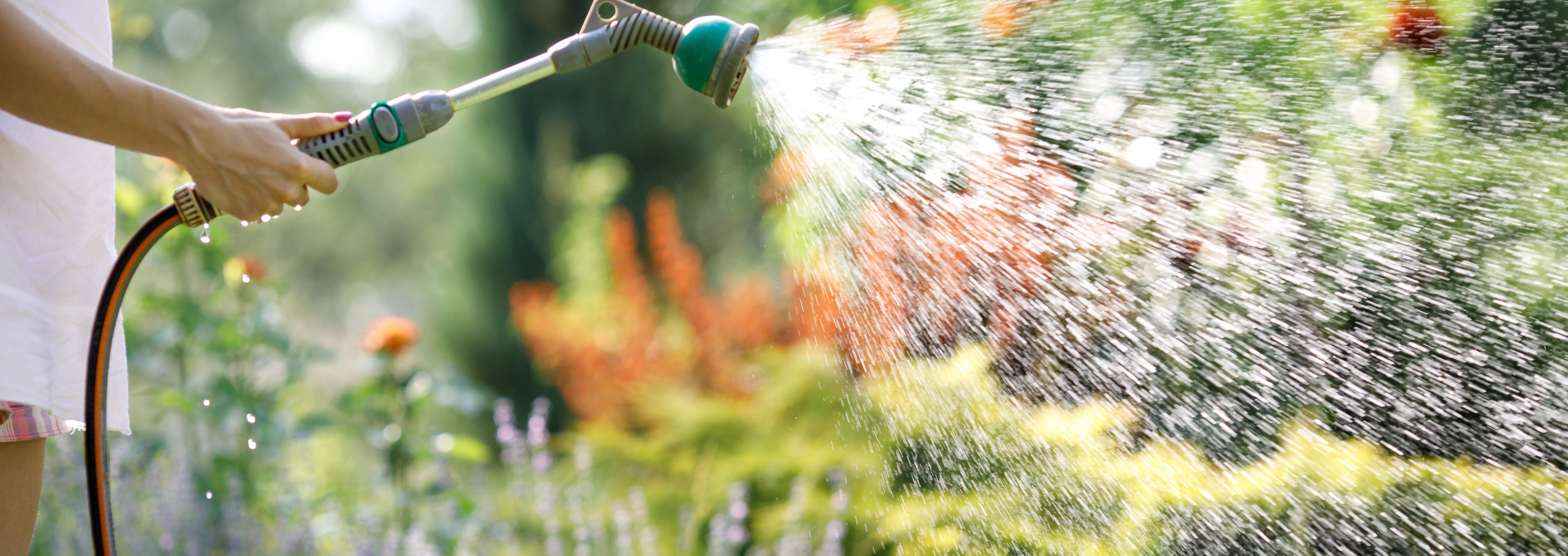 hose pipe
