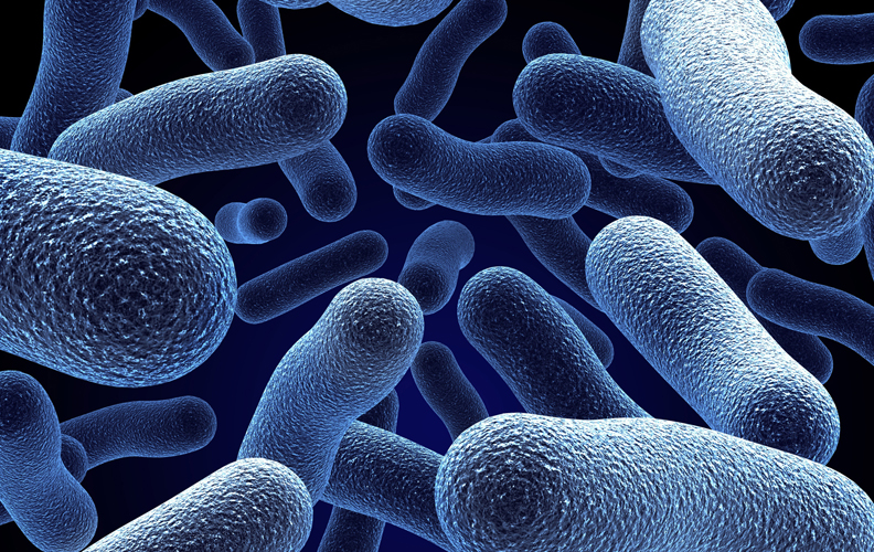 Legionella