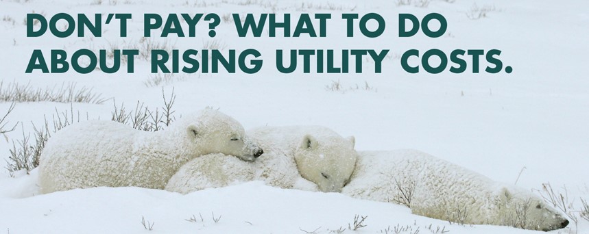Rising utility costs