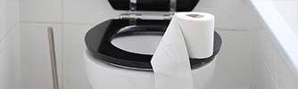 toilet roll